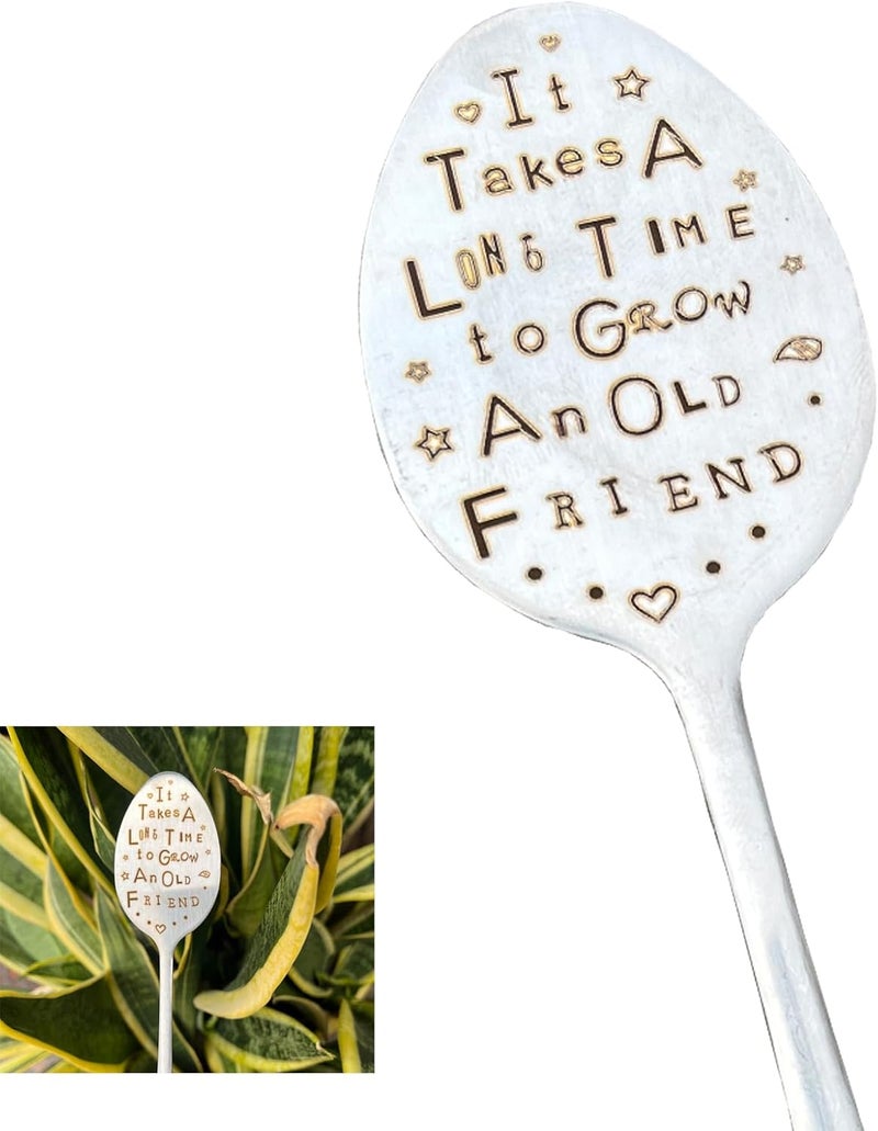 PLWalker Garden Plant Marker Friendship Gift for Women Gardeners, Plant Stake Label Sign Tag Gardening Gifts for Woman Plant Lovers, Metal Garden Decoration (Grow an Old Friend) - Image 1